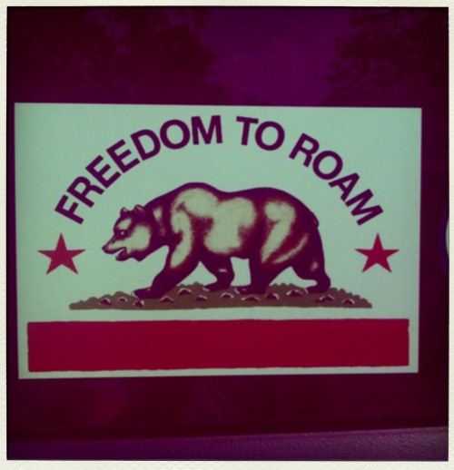 freedom to roam